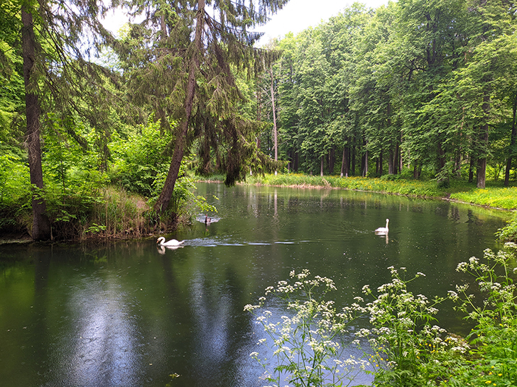 Город Клин, Майдановский парк (фото Олег Д., 2021)