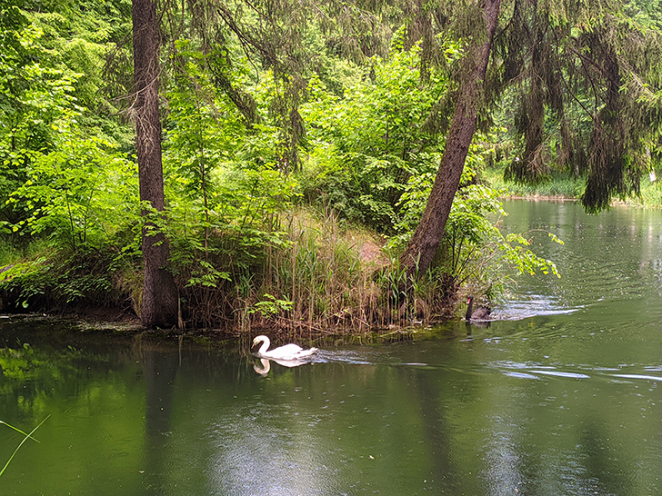 Город Клин, Майдановский парк (фото Олег Д., 2021)