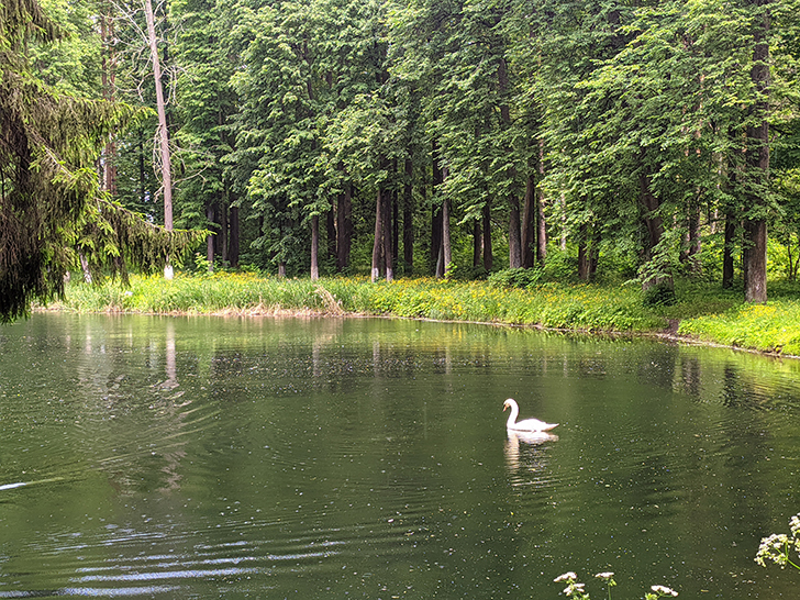 Город Клин, Майдановский парк (фото Олег Д., 2021)