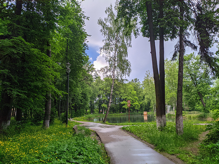 Город Клин, Майдановский парк (фото Олег Д., 2021)