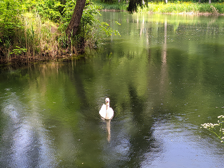 Город Клин, Майдановский парк (фото Олег Д., 2021)