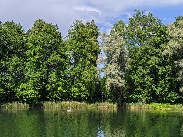 Город Клин, Майдановский парк (фото Олег Д., 2021)