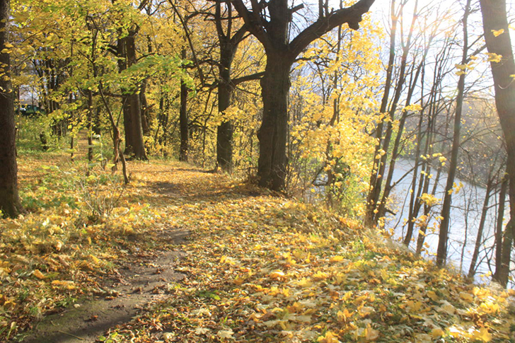 Майдановский парк (фото В.Кузьмин)