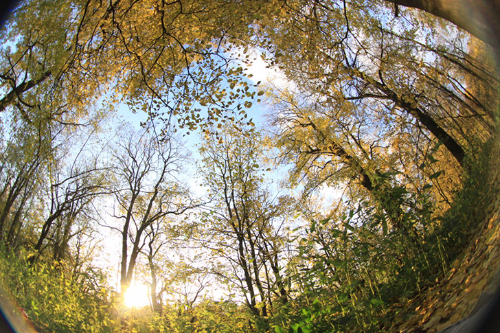 Майдановский парк (фото В.Кузьмин)