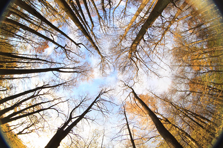 Майдановский парк (фото В.Кузьмин)