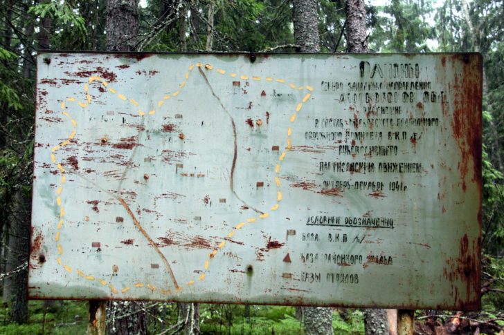 Место базы Клинского партизанского отряда времен ВОВ (фото В.Кузьмин, август, 2021)