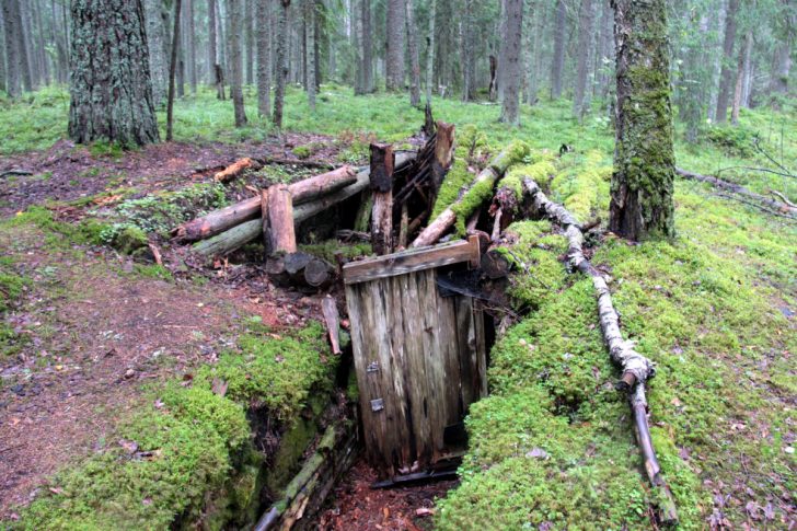 Место базы Клинского партизанского отряда времен ВОВ (фото В.Кузьмин, август, 2021)
