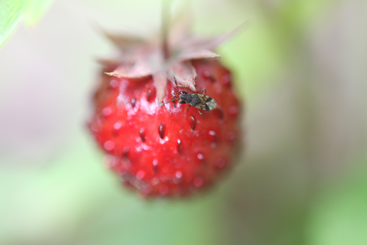 Фото В.Кузьмин