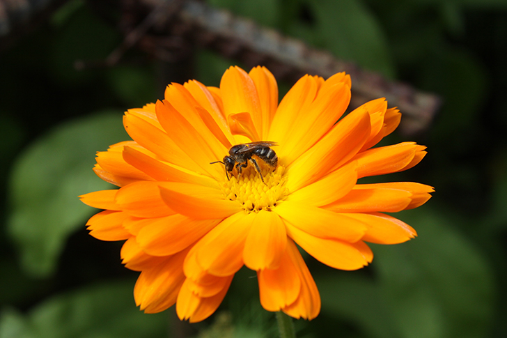 Фото В.Кузьмин
