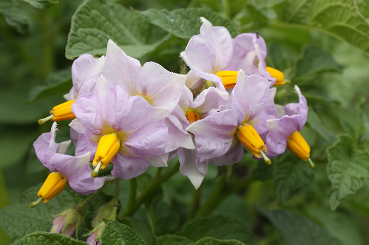 Фото В.Кузьмин