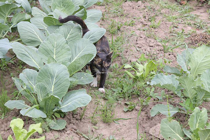 Фото В.Кузьмин