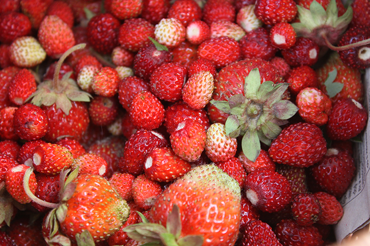 Фото В.Кузьмин