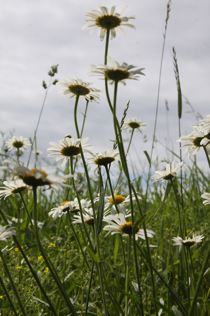 Фото В.Кузьмин