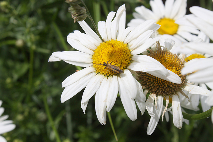 Фото В.Кузьмин