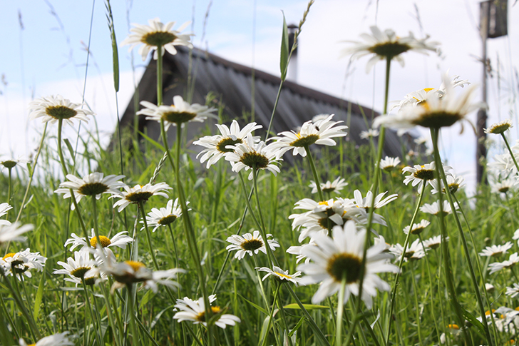 Фото В.Кузьмин