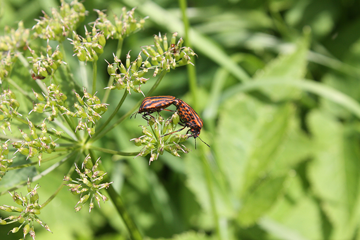 Фото В.Кузьмин