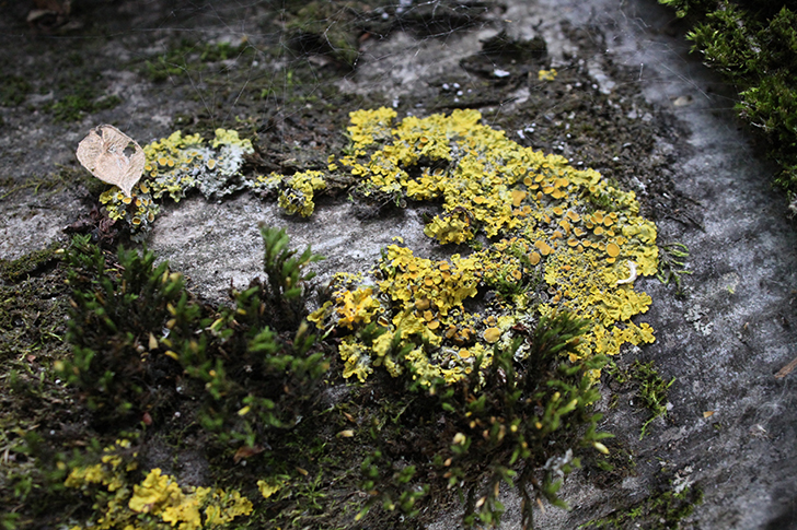 Фото В.Кузьмин