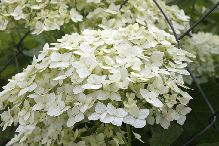 Фото В.Кузьмин