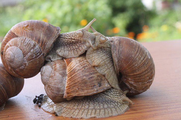 Фото В.Кузьмин