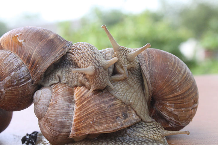 Фото В.Кузьмин