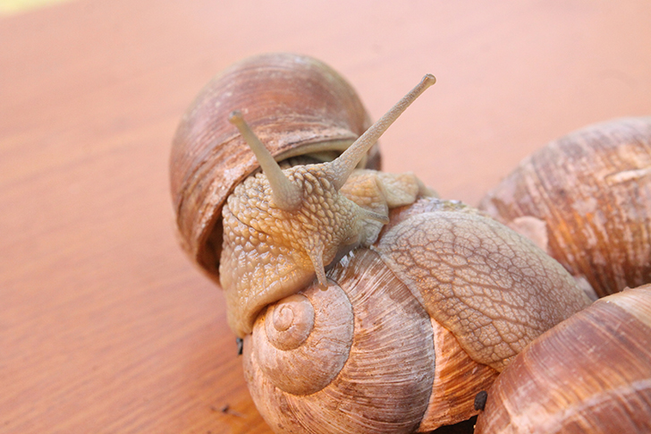 Фото В.Кузьмин