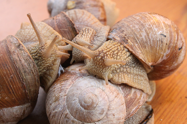 Фото В.Кузьмин