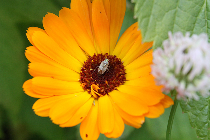 Фото В.Кузьмин
