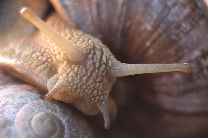 Фото В.Кузьмин