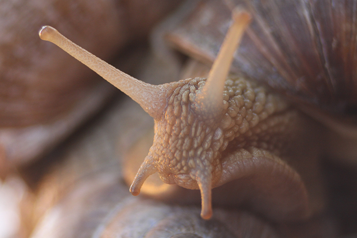 Фото В.Кузьмин