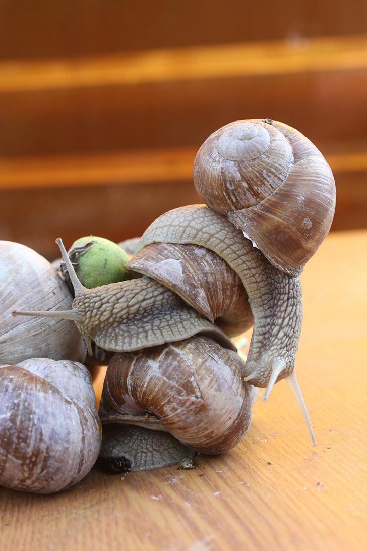 Фото В.Кузьмин