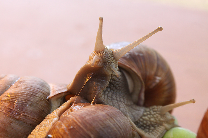 Фото В.Кузьмин