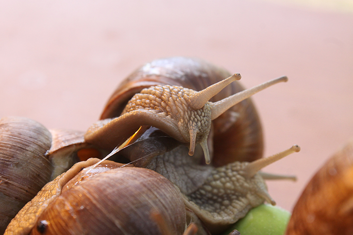 Фото В.Кузьмин