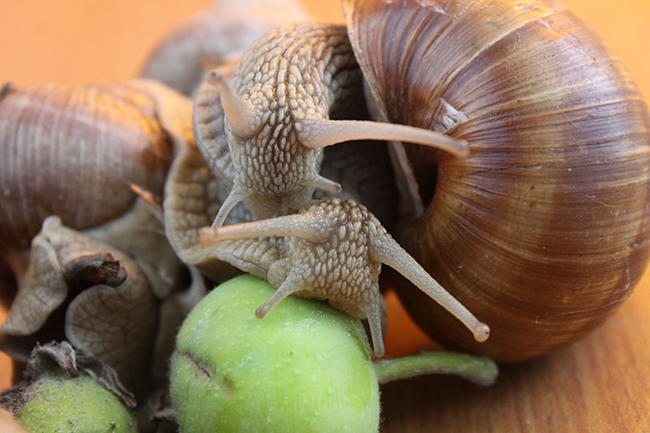 Фото В.Кузьмин