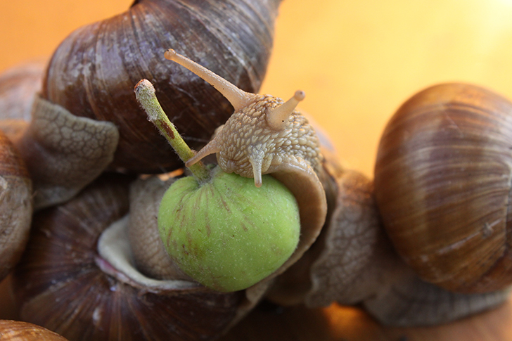 Фото В.Кузьмин
