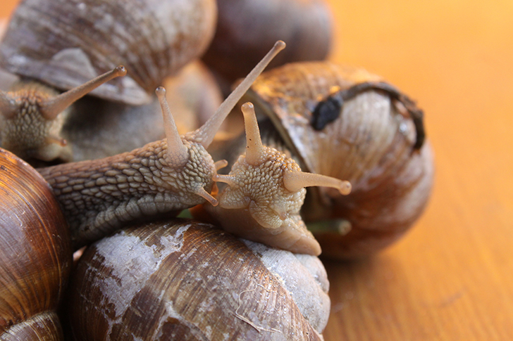 Фото В.Кузьмин