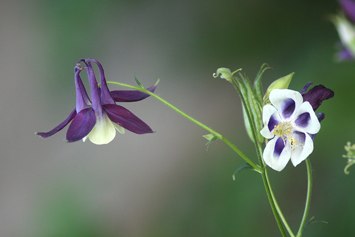 Фото В.Кузьмин