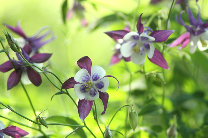 Фото В.Кузьмин