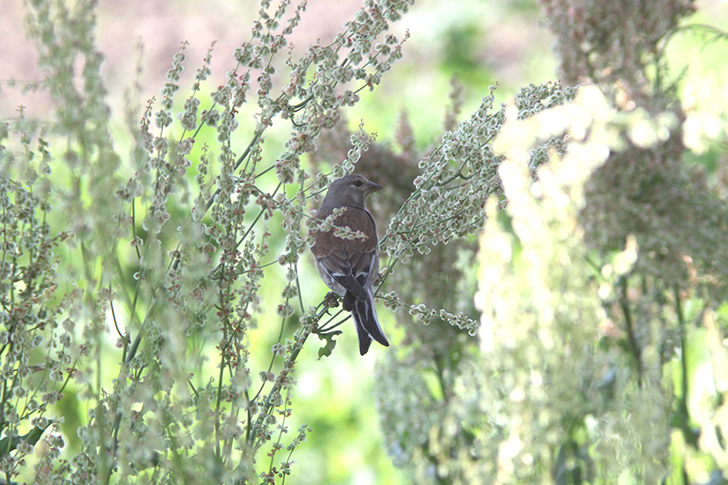 Фото В.Кузьмин