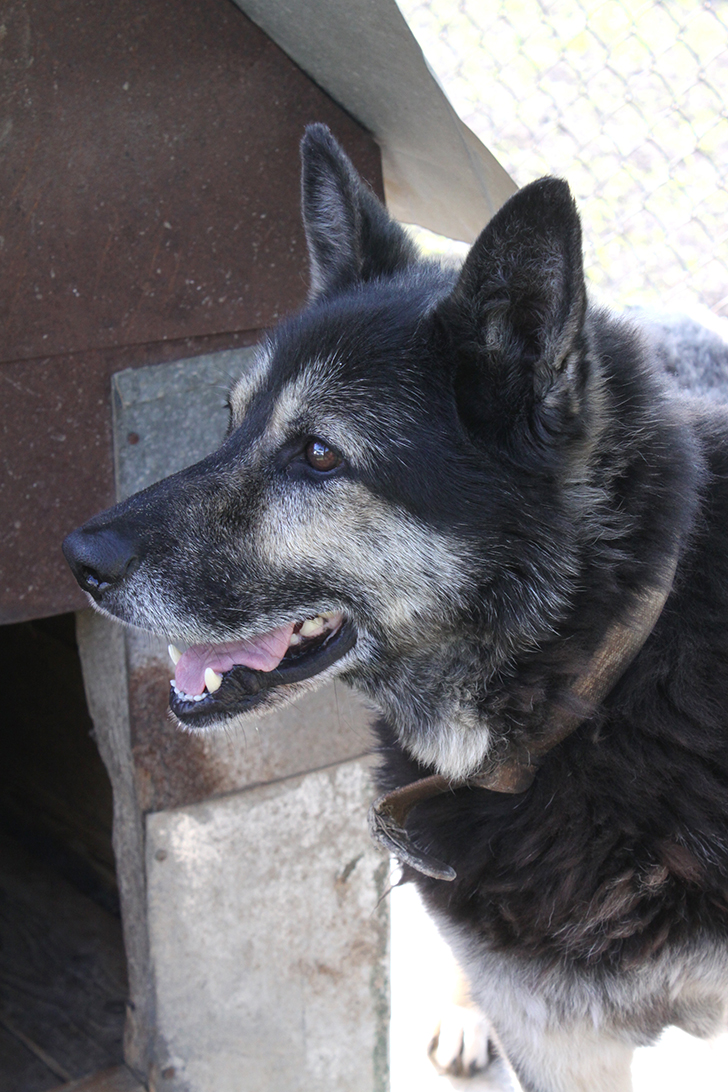 Фото В.Кузьмин