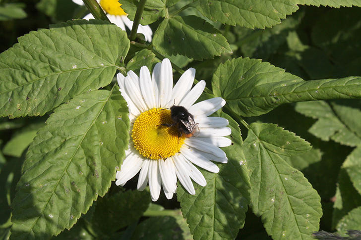 Фото В.Кузьмин