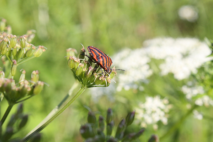 Фото В.Кузьмин