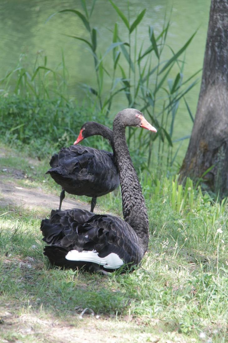 Майданово (фото Василия Кузьмина и Елены Елиной)