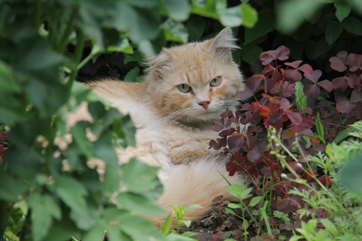 Майданово (фото Василия Кузьмина и Елены Елиной)