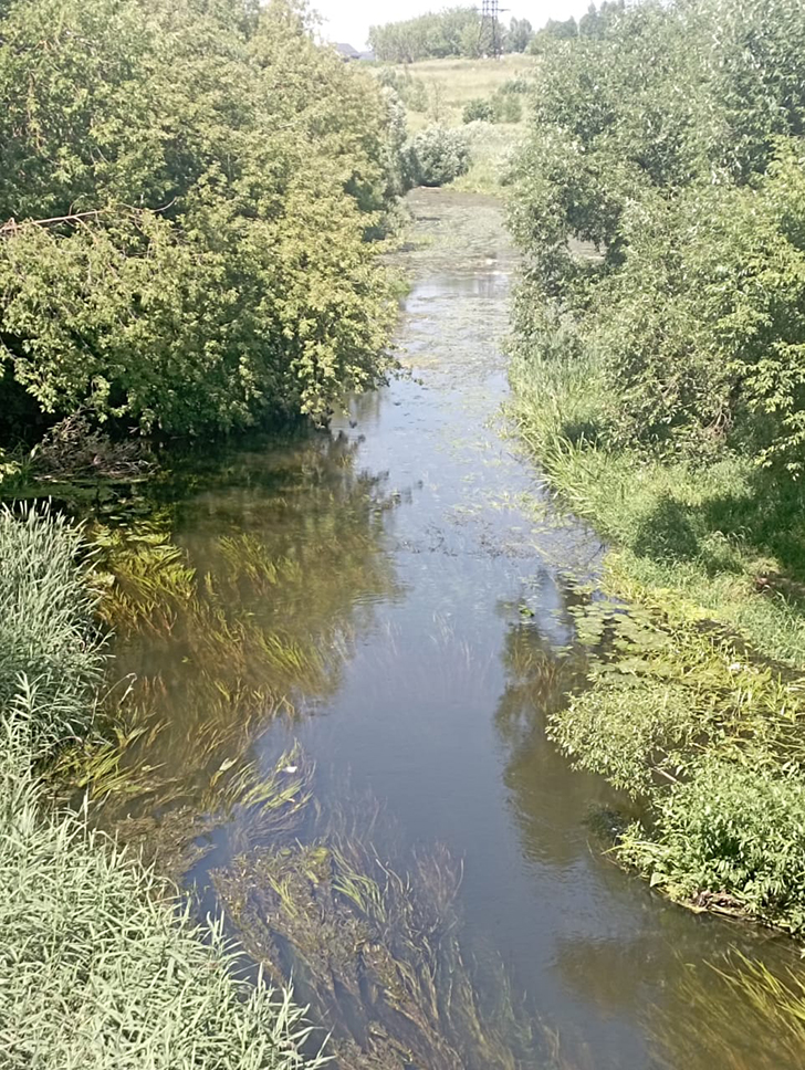 Клин и его окресности (фото В.Молодцова, июль, 2025)