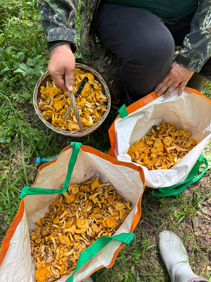 Фото Д.Бондаренко (июль, 2025)