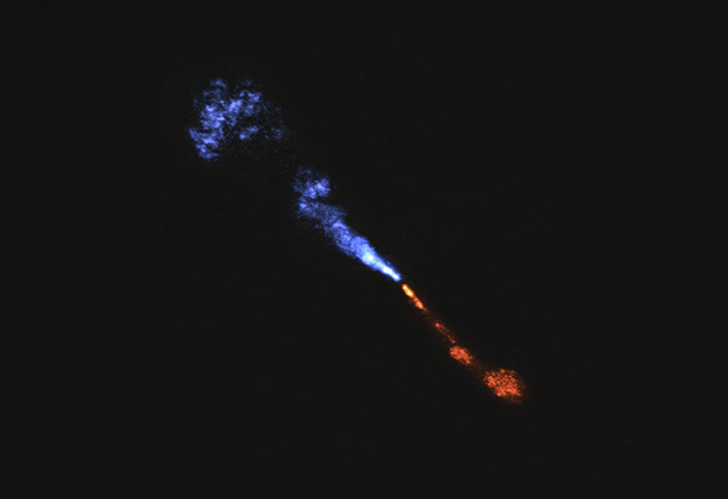 На изображении показаны струи оксида кремния (SiO), вырывающиеся из окрестностей молодой звезды HOPS-315. Синие участки обозначают поток, направленный к нам, красные – от нас. Снимок получен с помощью ALMA. Быстрые струи SiO движутся со скоростью до 100 км/с, тогда как более медленный газ, зафиксированный телескопом «James Webb», перемещается примерно в 10 раз медленнее и находится вблизи звезды – в области размером с пояс астероидов. Низкое содержание газа SiO в струях указывает на то, что часть его уже начала конденсироваться в твердые частицы – первые строительные блоки будущих планет. Credit: ALMA(ESO/NAOJ/NRAO)/M. McClure et al.