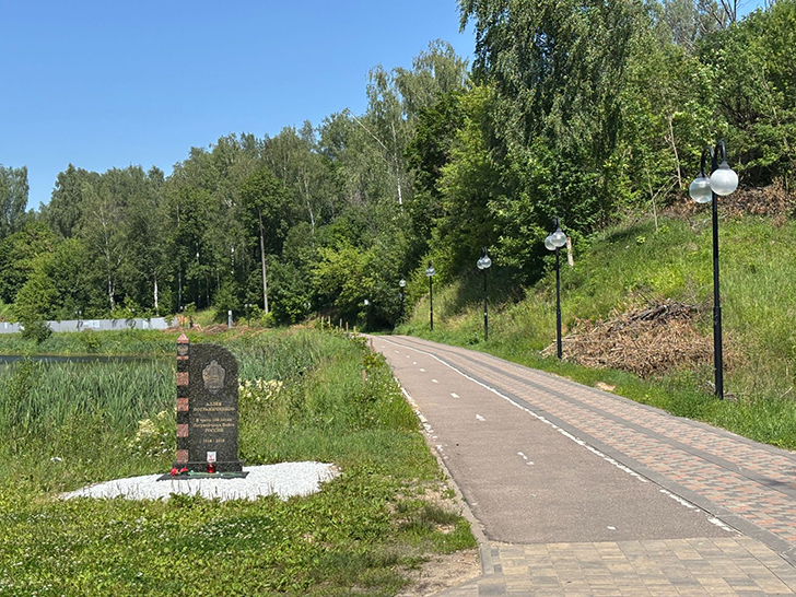 Клин (фото Олег Д., июль, 2025)