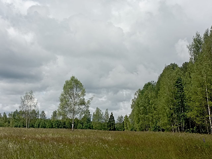 Клин и его окресности (фото В.Молодцова, июль, 2025)