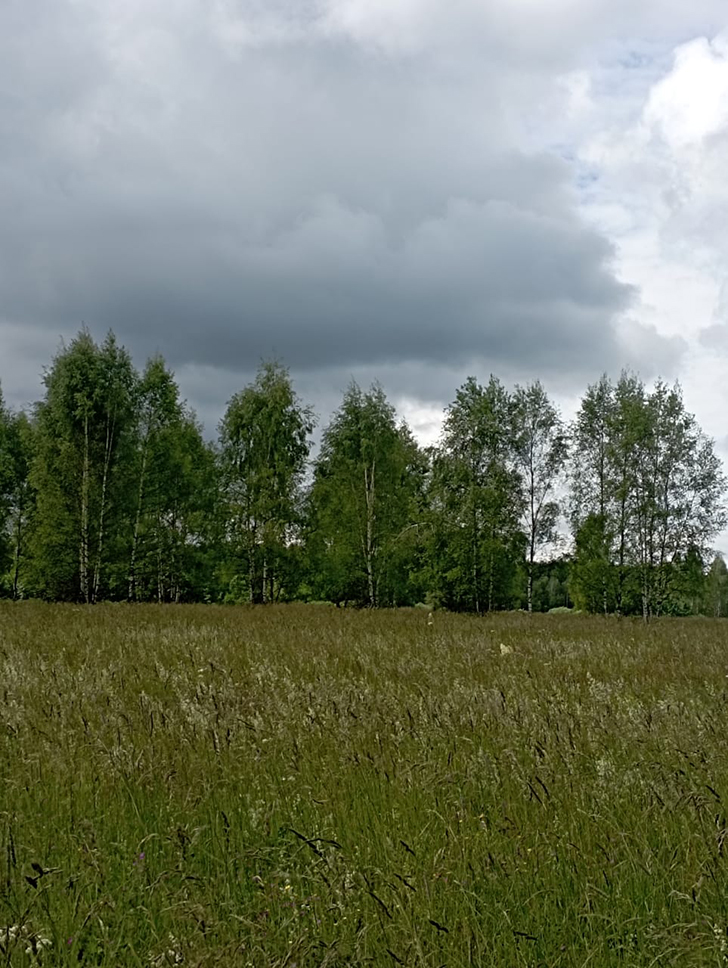 Клин и его окресности (фото В.Молодцова, июль, 2025)