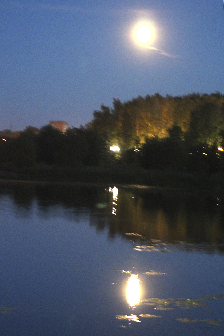 Фото В.Кузьмин (июль, 2025)